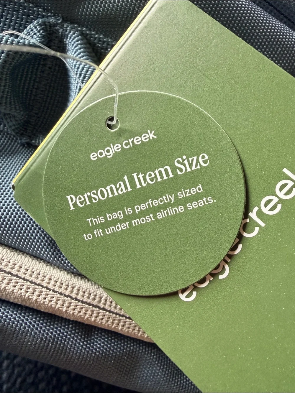 Eagle Creek Blue Everyday Backpack